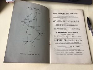 The Field Ellesmere Mr E. K. Bickley’s Shorthorn Herd 1900  Sale Ref  53899