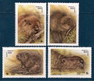 1995 Belarus 96-99 WWF- European beaver.