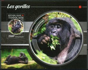 Togo 2015 MNH Gorillas 1v S/S Wild Animals Apes Monkeys Gorilles