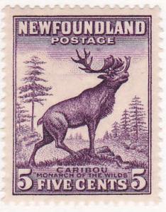 Newfoundland Scott 191 VF H