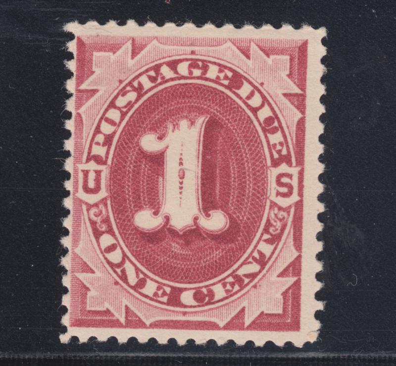US Sc J22 MNH. 1891 1c claret Postage Due, unwatermarked, fresh color