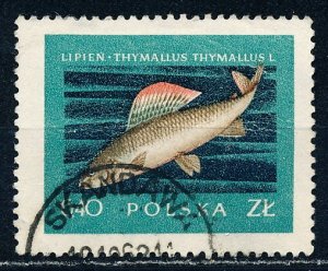 Poland #814 Single Used