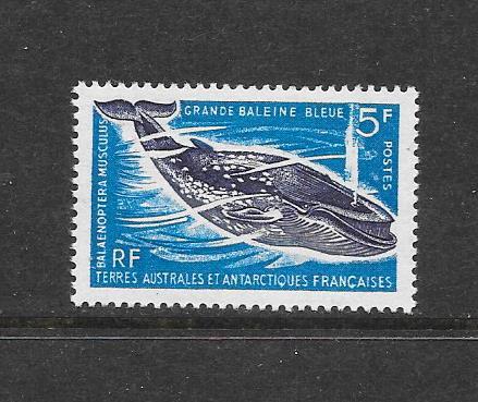 WHALE - FRENCH SOUTHERN ANTARCTIC TERRITORIES #25  MNH