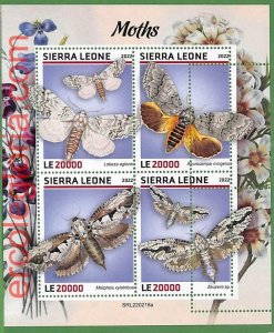 B1804 - SIERRA LEONE - ERROR MISPERF Stamp Sheet - 2023 - Moths, Insects-