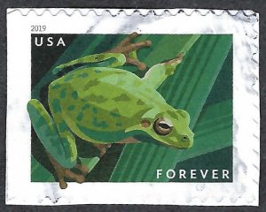 United States #5395 Forever (55¢) Pacific Tree Frog (2019).On paper. Used.