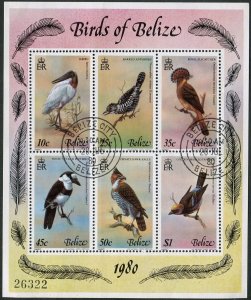 Belize 500, CTO. Mi 493-498 Bl.18. Birds. Jabiru, Barred antshrike, Flycatcher,