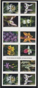 2020 Orchids 10 different Sc 5454b booklet pane of 20 plate number B1111