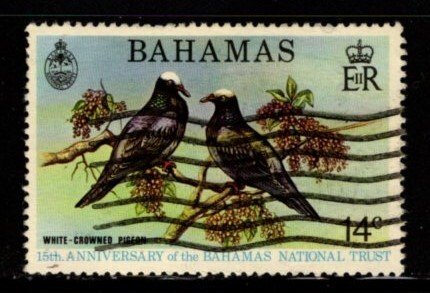 Bahamas - #363 White Crowned Pigeons - Used