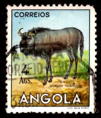 Angola 1953 African Brindled gnu Wild Animals 4a Scott.375 Used (#5)