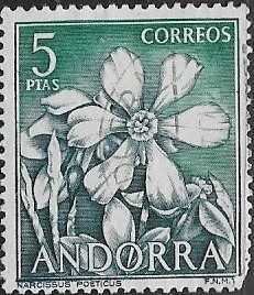 1966  Spanish Andorra  Jonquils  SC#60 mint