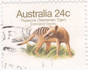 Australia 1981 - Aust. Animals- Thylacine  (now Extinct) - 24c used