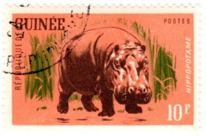Guinea Scott 248 (1962: Hippopotamus)