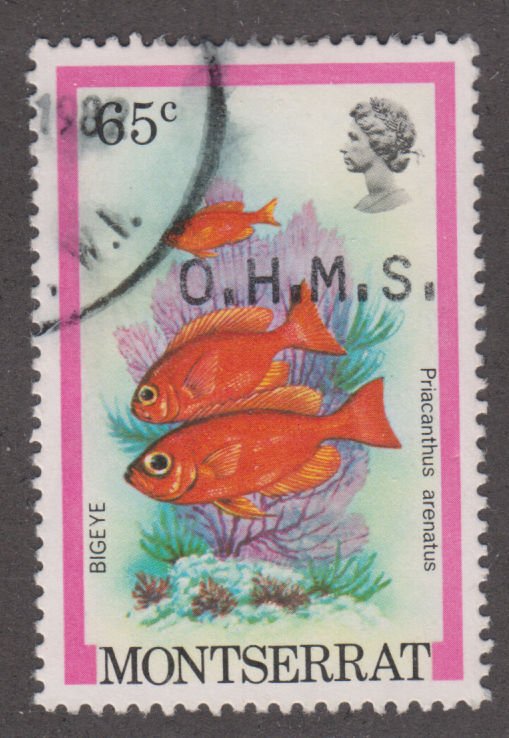 Montserrat O51 Fish O/P 1981