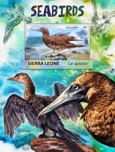 SIERRA LEONE - 2017 - Sea Birds - Perf Souv Sheet - MNH