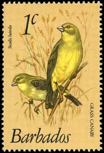 BARBADOS Sc 495 VF/MNH - 1979 1¢ Grass Canaries