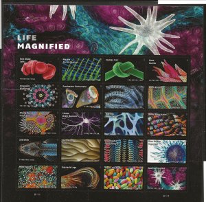 US Scott #5802, Miniature Sheet 2023 Life Magnified VF MNH