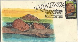 ZAYIX - US 4064 SMB Cachets FDC hand-colored Beaver, Largest Rodent 113022SM129