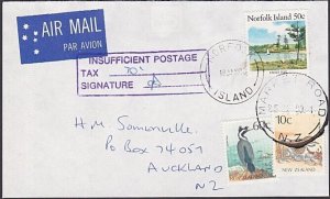 NORFOLK IS 1990 cover INSUFFICIENT POSTAGE NZ stamps paying postage due....a3099