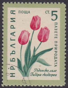 Bulgaria 1960 SG1200 Used