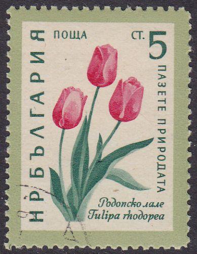 Bulgaria 1960 SG1200 Used