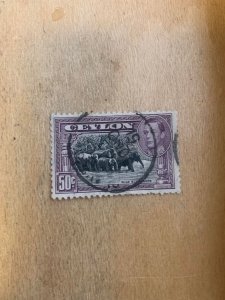 Ceylon #286d