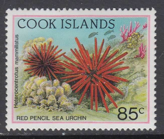 Cook Islands 1077 Marine Life MNH VF