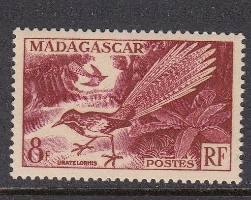 Madagascar 288 Bird mnh