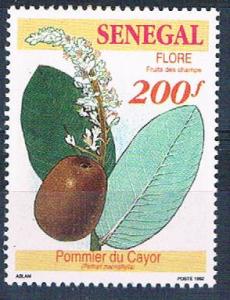 Senegal 1034 Unused Fruit Plant 1992 (S0803)+