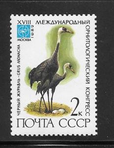 Russia #5050 MNH Single.