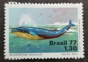 Brazil Environment Protection Blue Whale 1977 Ocean Marine Life (stamp) MNH