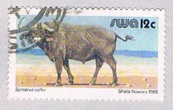 South West Africa 456B Used Cape Buffalo 1980 (BP26213)