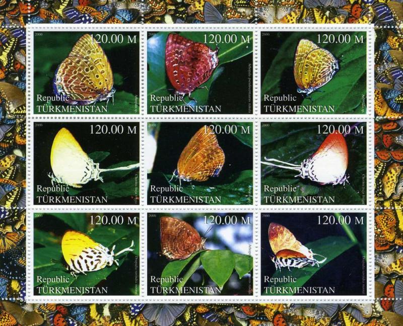 Turkmenistan 2000 BUTTERFLIES Sheet (9) perforated Mint (NH)