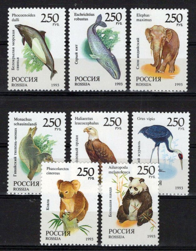 Russia & Soviet Union 6184-6191 MNH Wildlife Whales Elephants ZAYIX 0624S0263