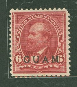 Guam #6 Unused Single