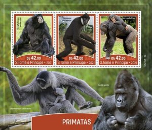 St Thomas - 2021 Primates, Gibbon, Chimpanzee - 3 Stamp Sheet - ST210514a