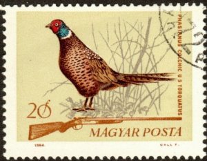 Hungary 1626 - Cto - 20f Ring-necked Pheasant (1964)