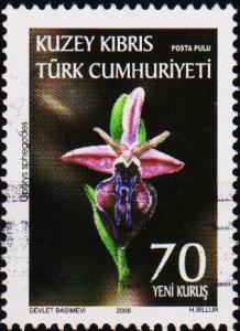 Cyprus(Turkish). 2008 70k Fine Used