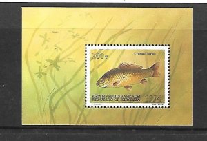 KYRGYSTAN Sc 52 NH ISSUE of 1994 Marine Animals Fish