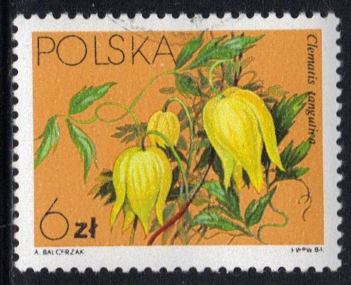 Poland    #2611   cancelled  1984   clematis  6z