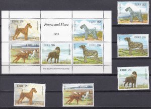 Ireland, Fauna, Irish Dogs MNH / 1983