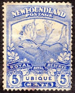 1919, Newfoundland 5c, Used, Sc 119