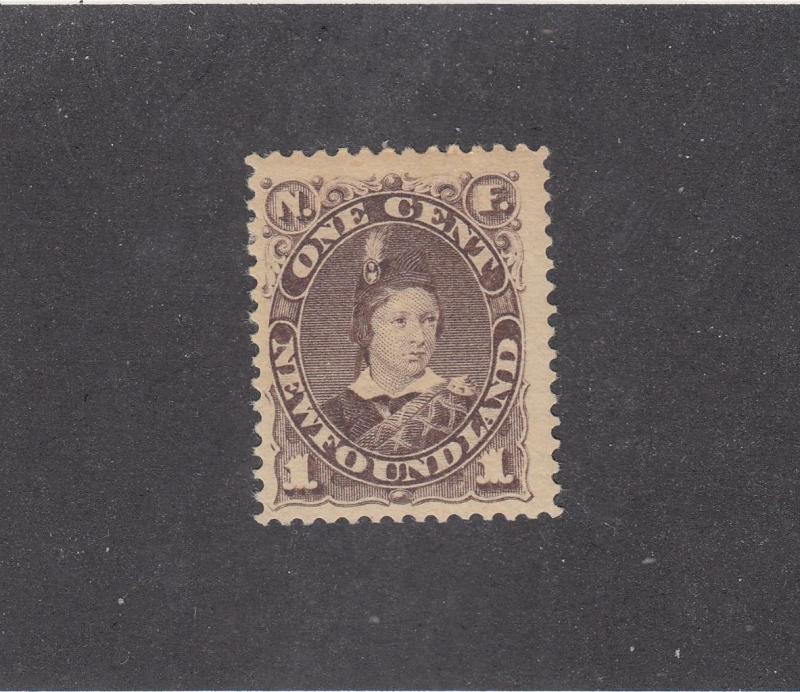 NEWFOUNDLAND # 43 FVF-MH 1ct PRINCE OF WALES CAT VALUE $100