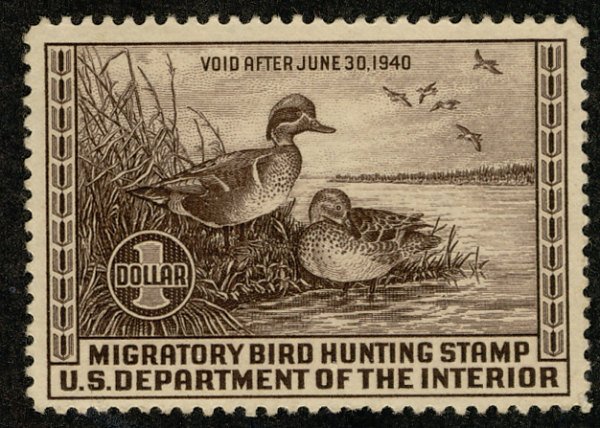 #RW6  Scott CV $280  #RW6 VF JUMBO OG NH, large margins, super fresh color an...