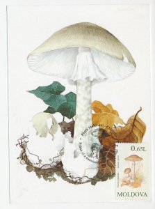 Maximum card Moldavia 1996 Mushroom