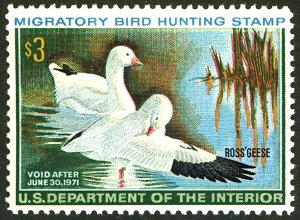 U.S. #RW37 MINT OG NH