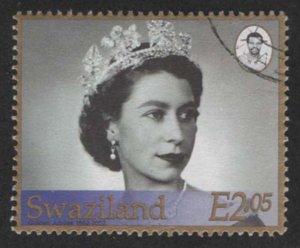 Swaziland #705 (2002), postally used single, cat. $1.50