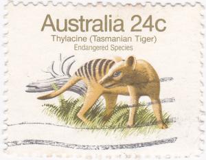 Australia 1981 - Aust. Animals- Thylacine  24c used SG 788