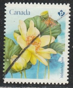 Canada   3091      (O)    2018