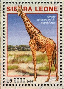 Park Amboseli Kenya Stamp Acinonyx Jubatus S/S MNH #7230-7233