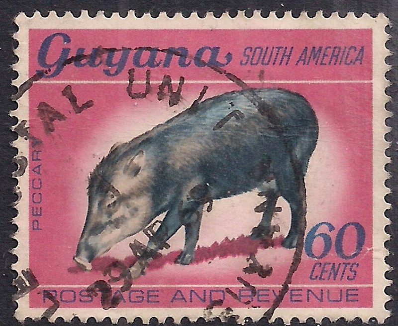 Guyana 1968 QE2 60ct White Lipped Peccary Used SG 459 ( E1478 )